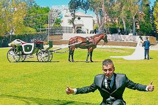 Bisignano Eventi a Cavallo 1