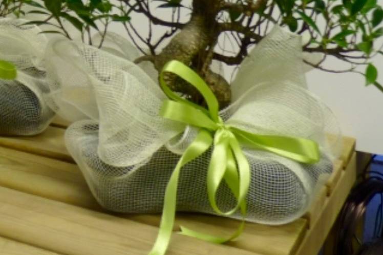 Cattlin Wedding Planner