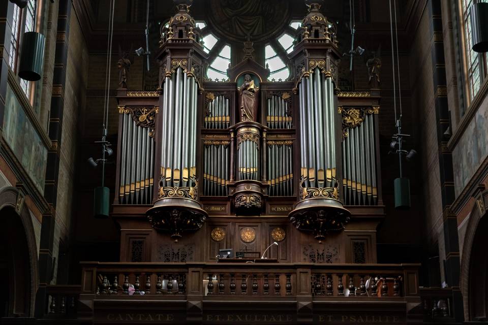 Organista Monza