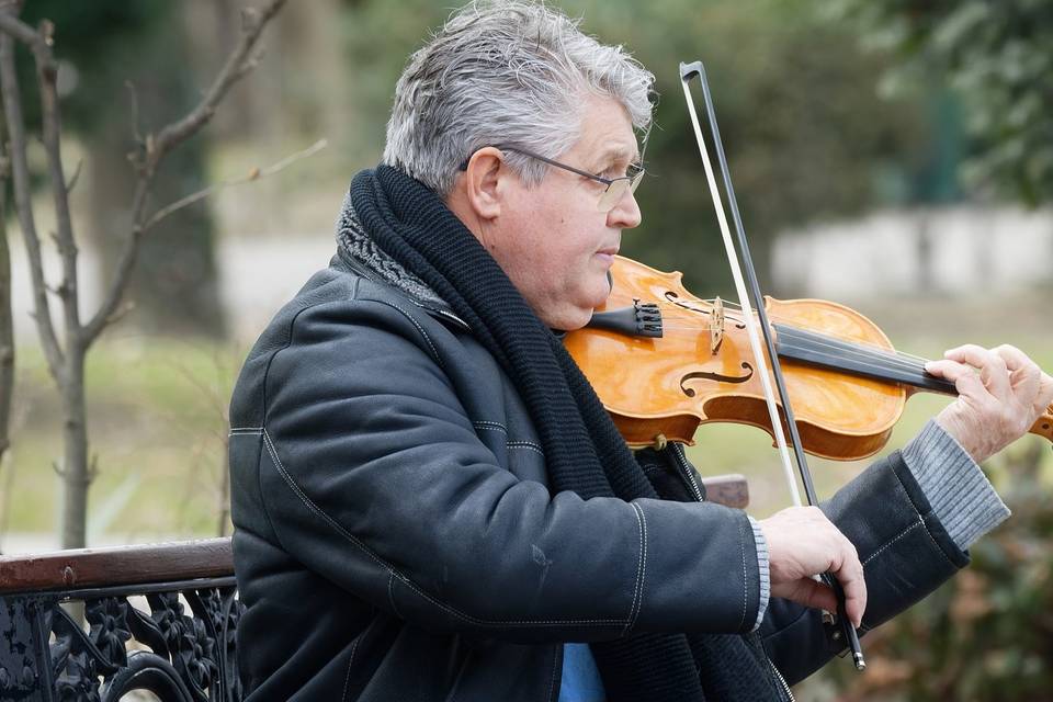 Violinista Monza