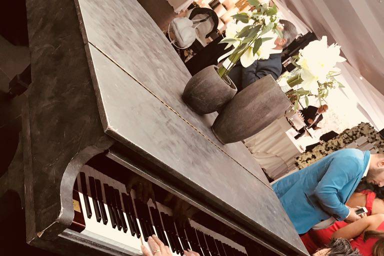 Pianista il gabiano puzzuoli