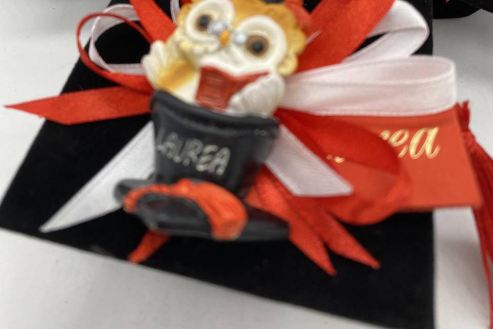 Laurea tocco+gufo