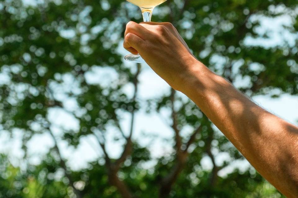 Cheers!