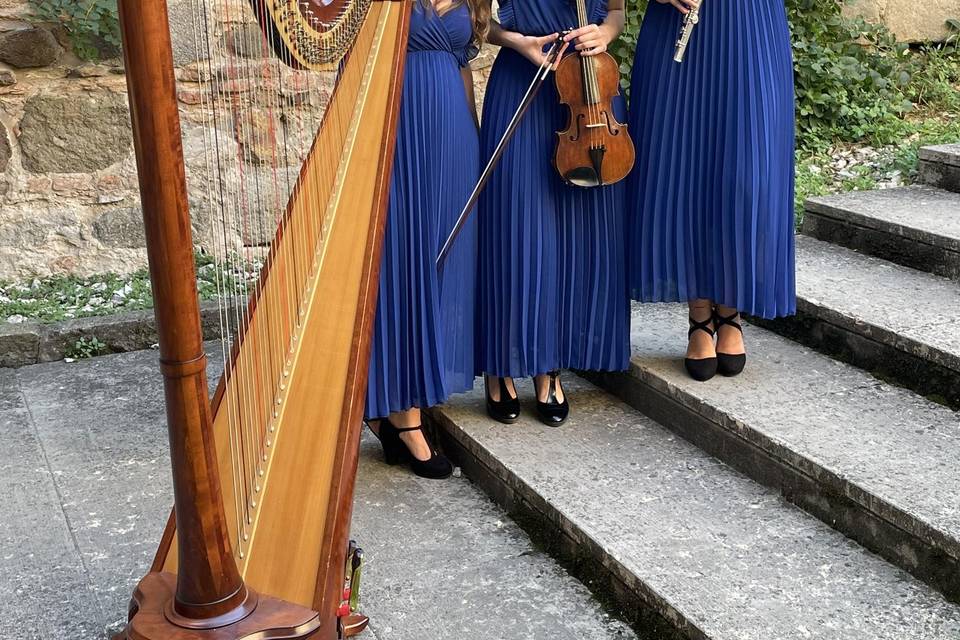 Violino, flauto e arpa