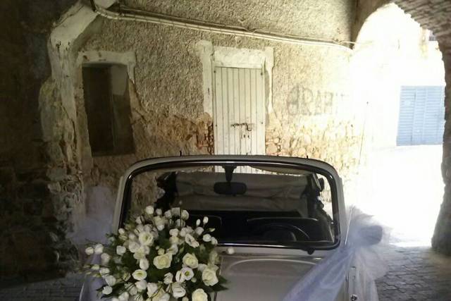 Rizzo Pietro Auto