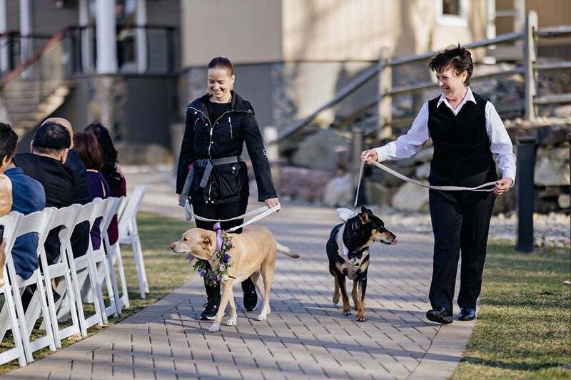 Zampe a Spasso - Wedding dog sitter