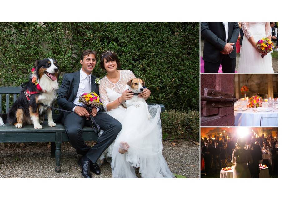 Dogs wedding