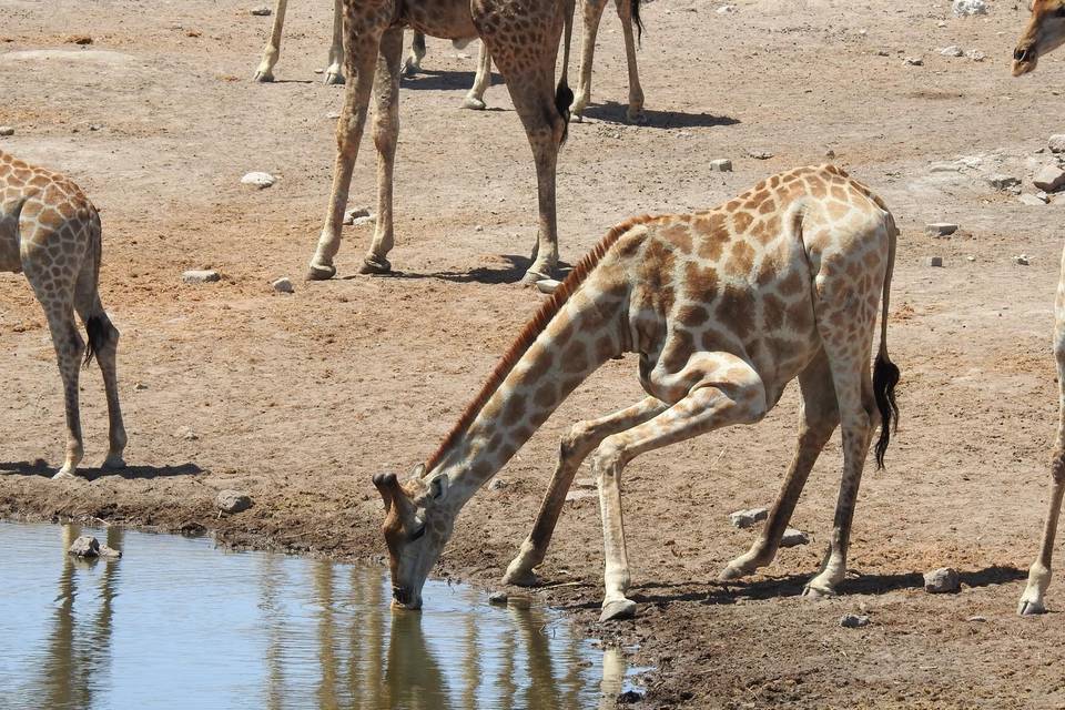 Namibia