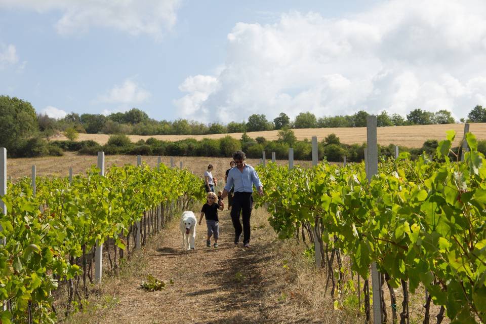 Tenuta San Lorenzo Vecchio