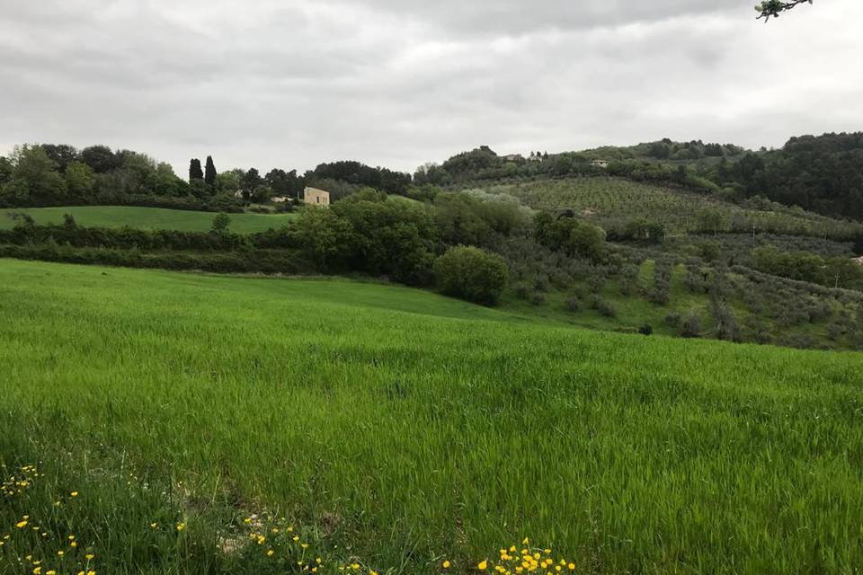 Tenuta San Lorenzo Vecchio