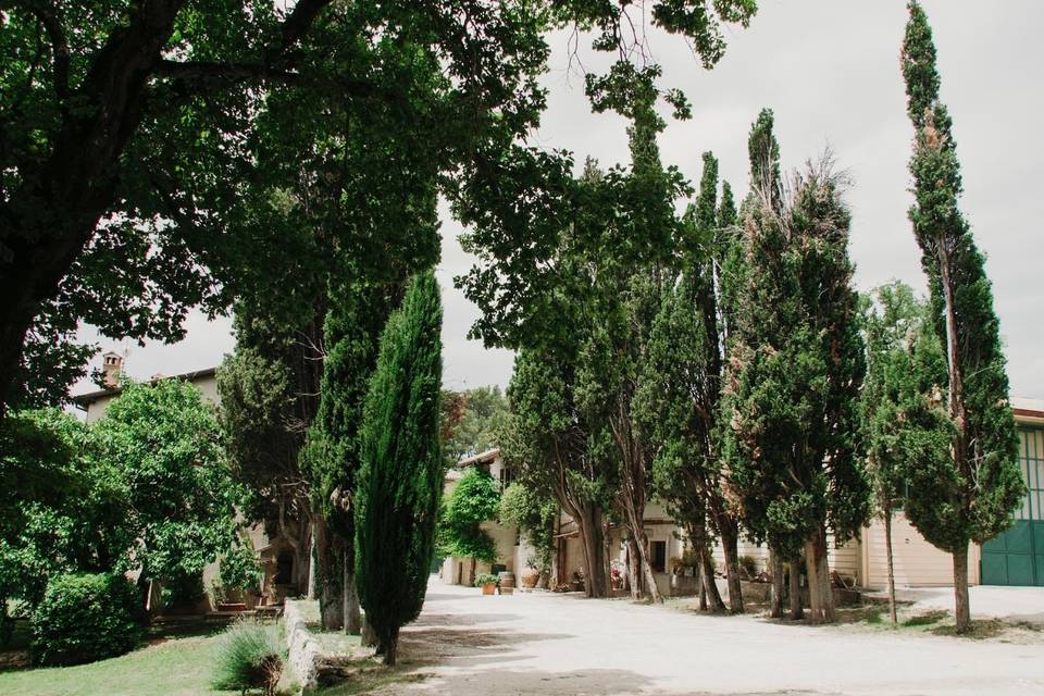 Tenuta San Lorenzo Vecchio