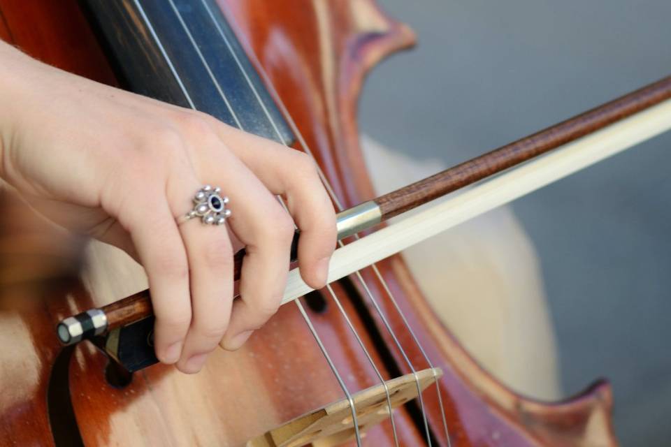 Classic violin ceremony