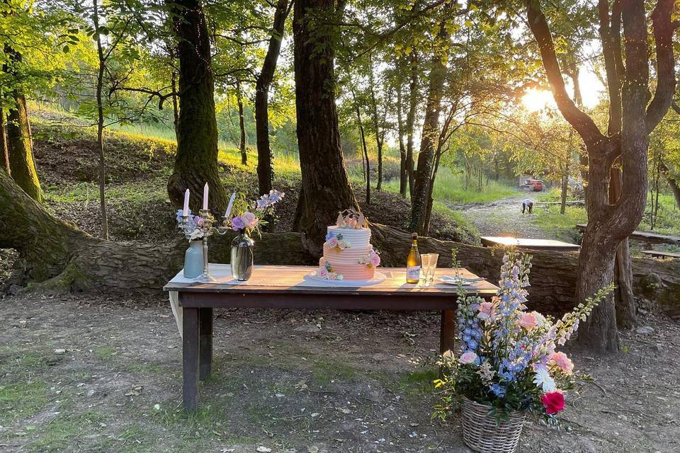 Agriturismo Mulino in Pietra