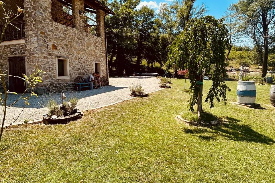 Garden
