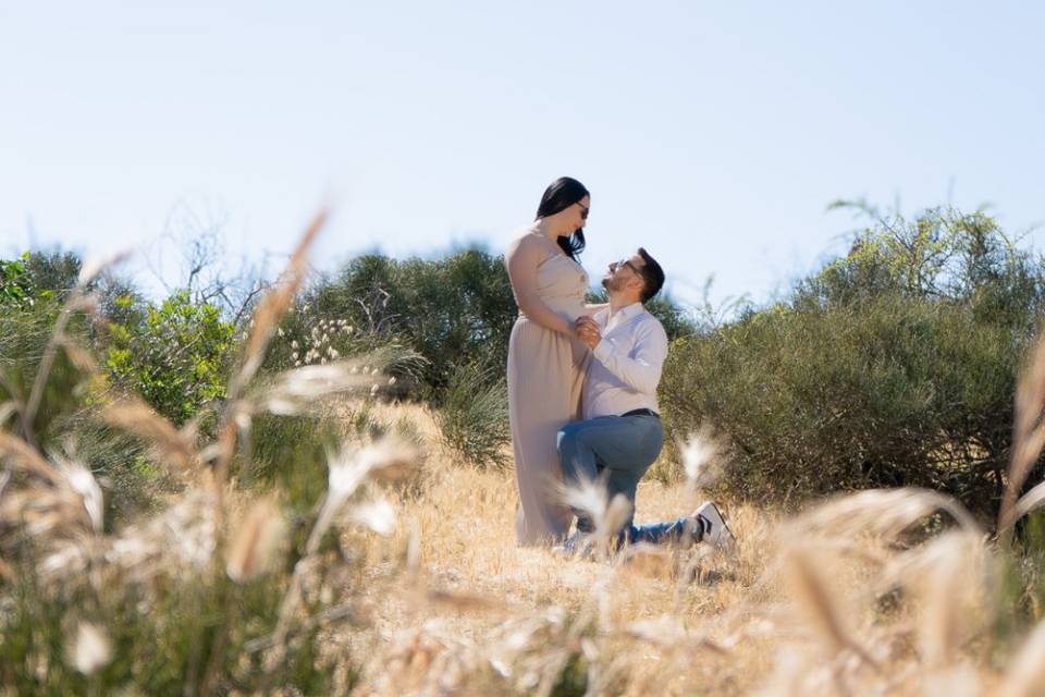 📸