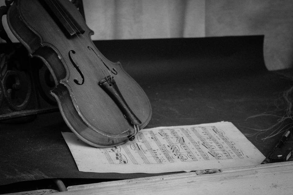 Musica su misura viola