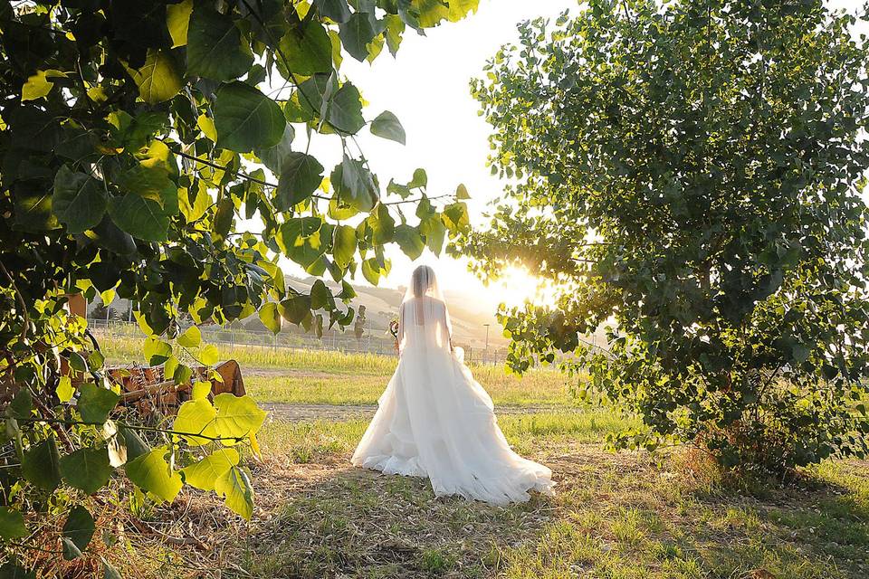 Carlo Bizzarri fotografo