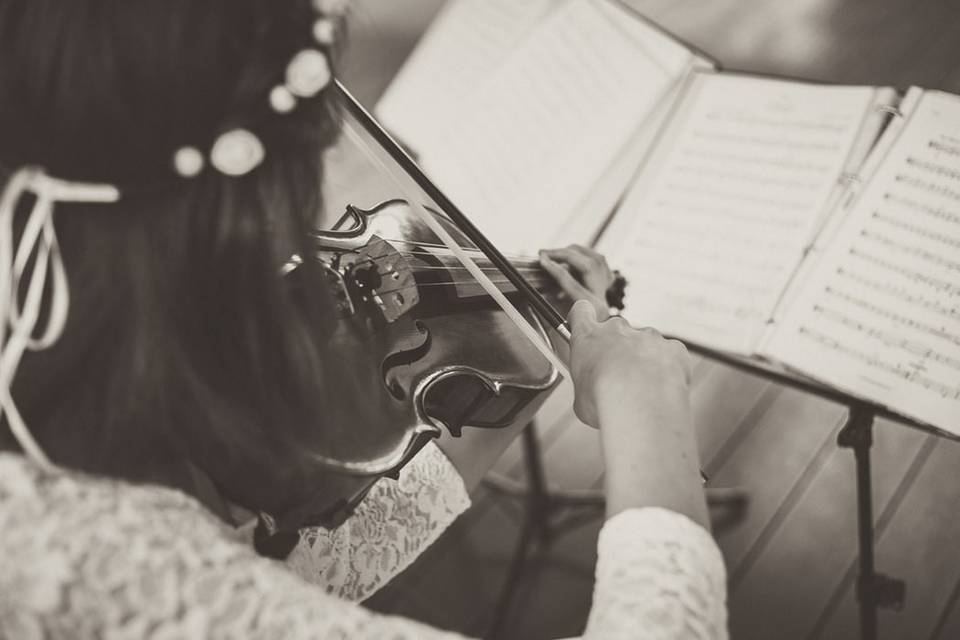 Musica su misura violino