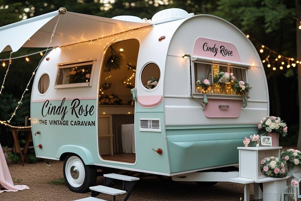 Cindy Rose Allestimento