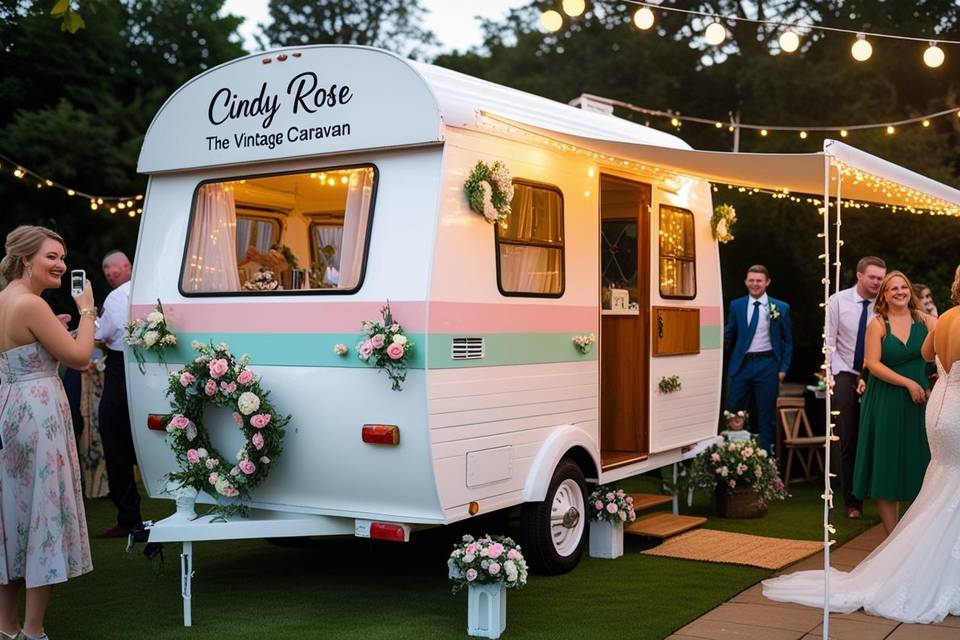 Cindy Rose Allestimento