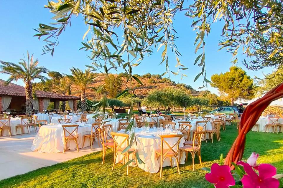 Outdoor Wedding