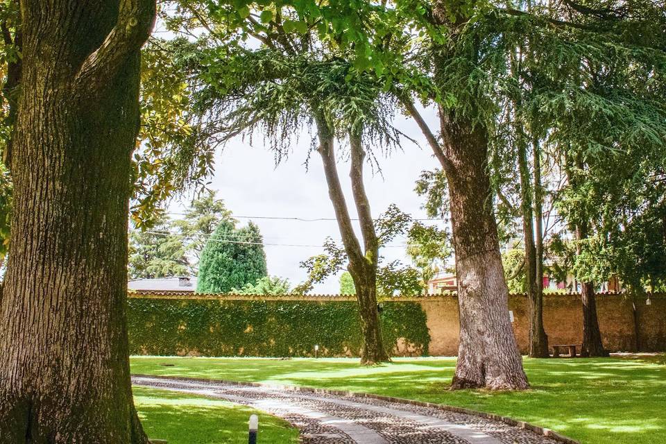 Parco secolare