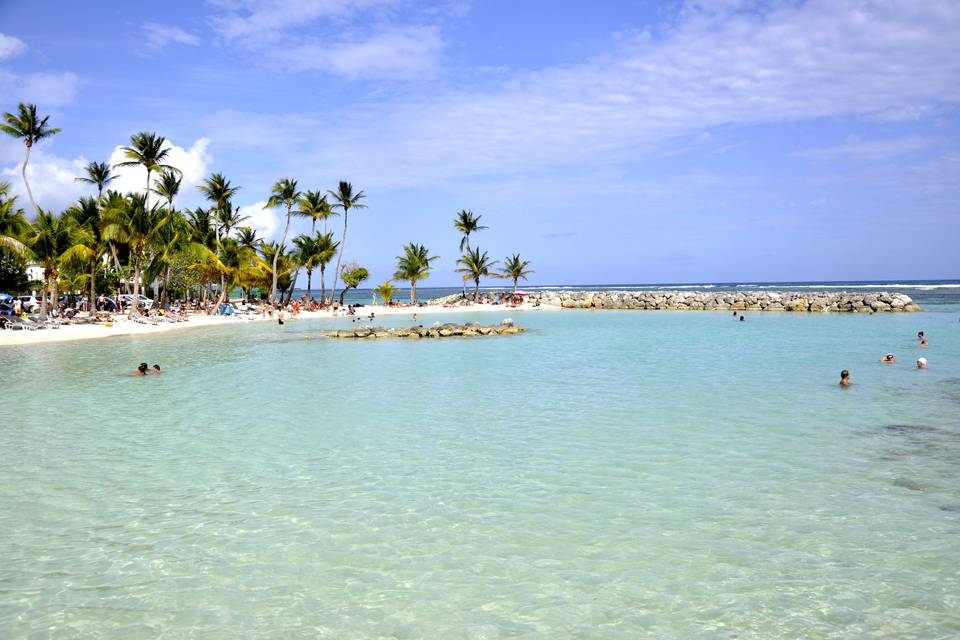 Caraibi
