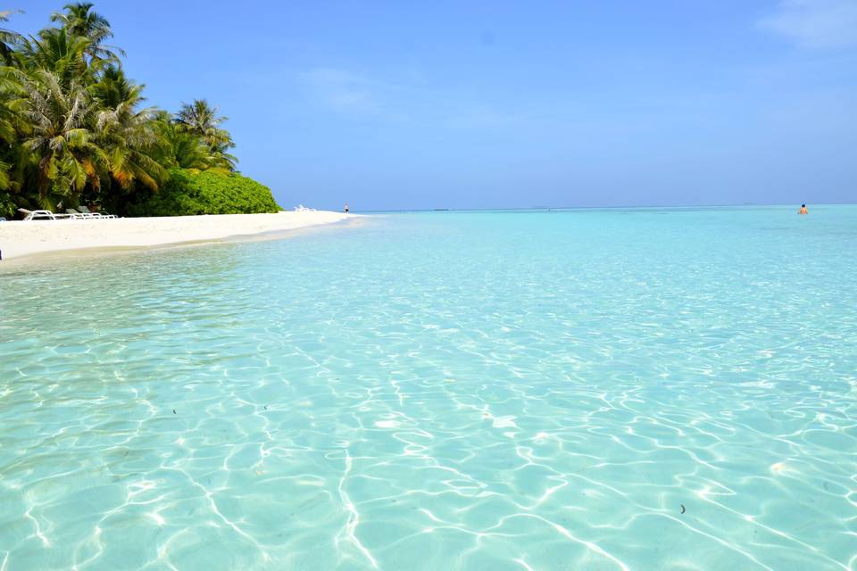 Maldive