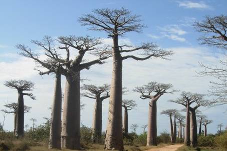 Namibia