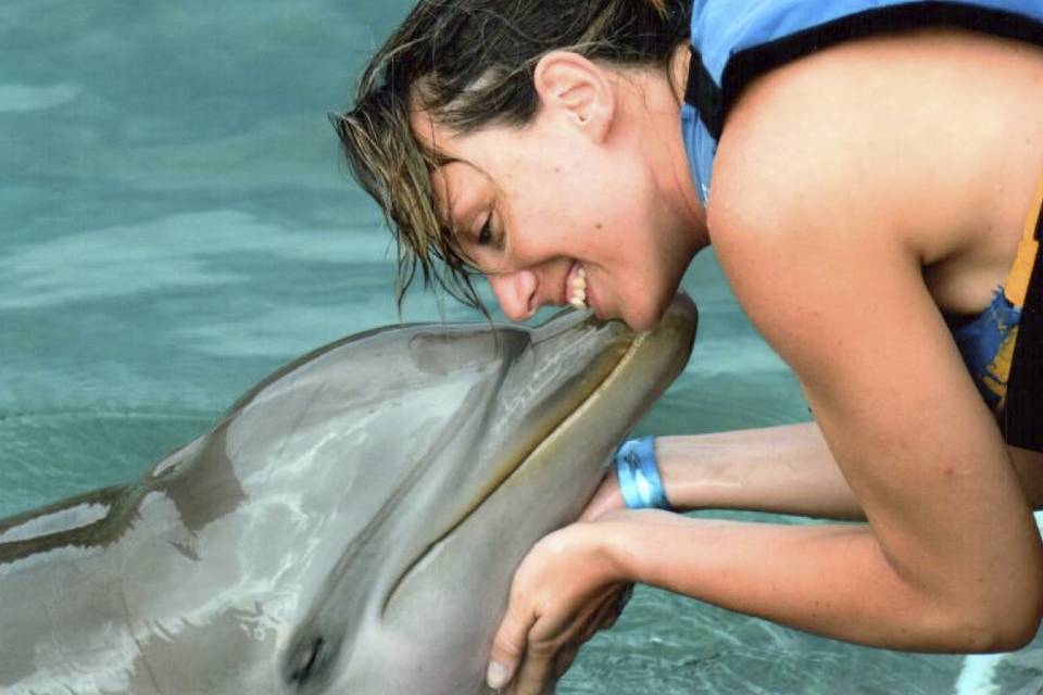 Caraibi