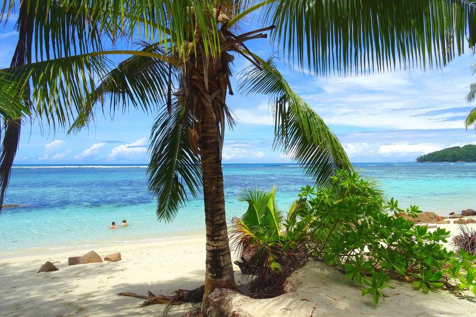 Isola di mahe'  - Seychelles