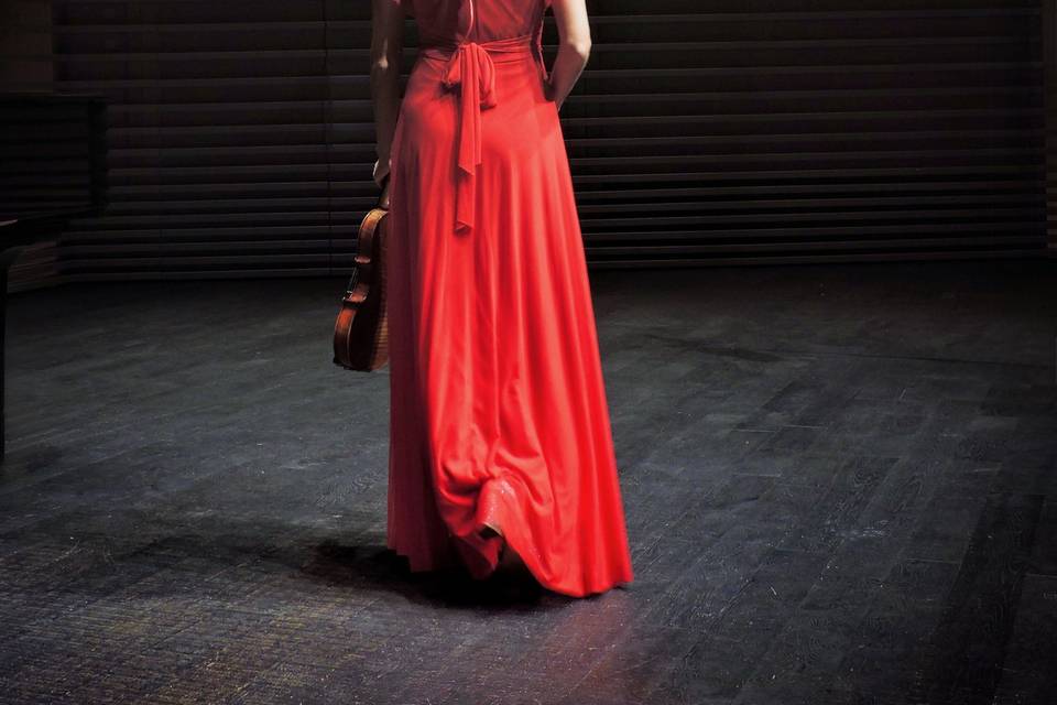 Violinista