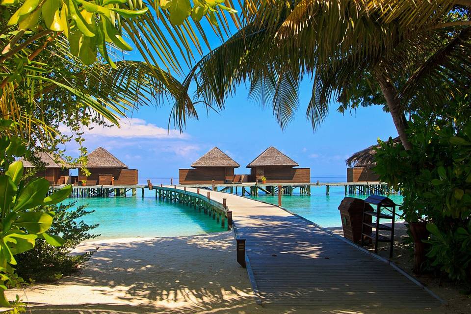 Maldive