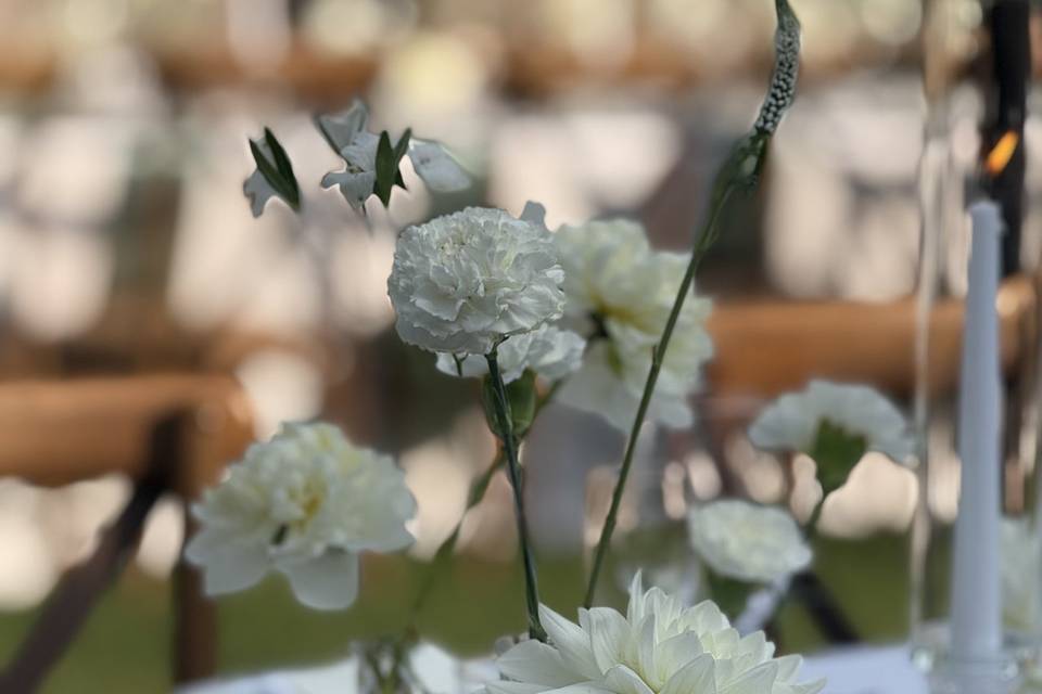 Bud vases