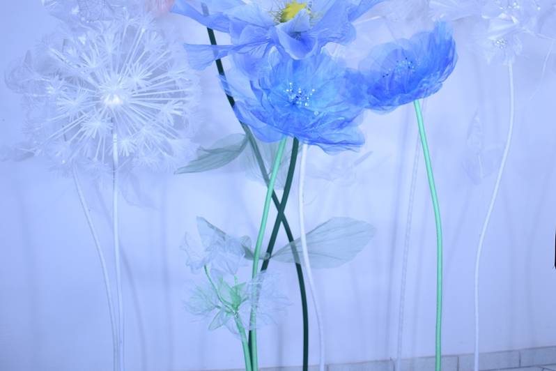 Fiori Giganti Decor