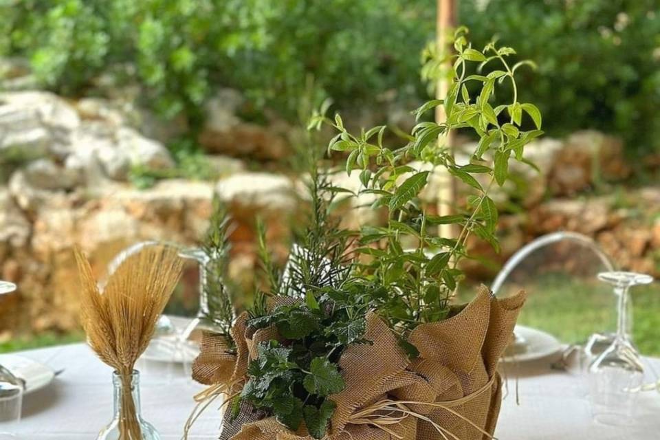 Aromatic herbs