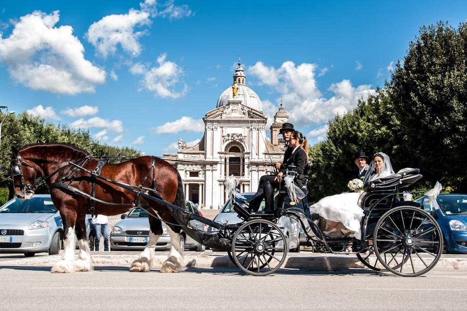 Il Cocchiere Francescano