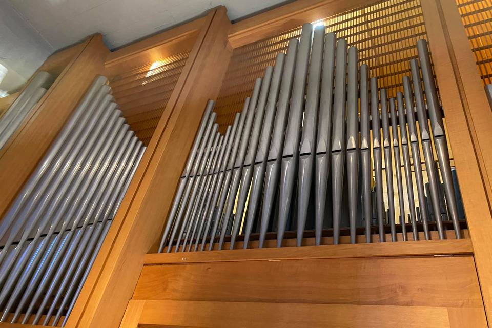 Stefano Franco Organista