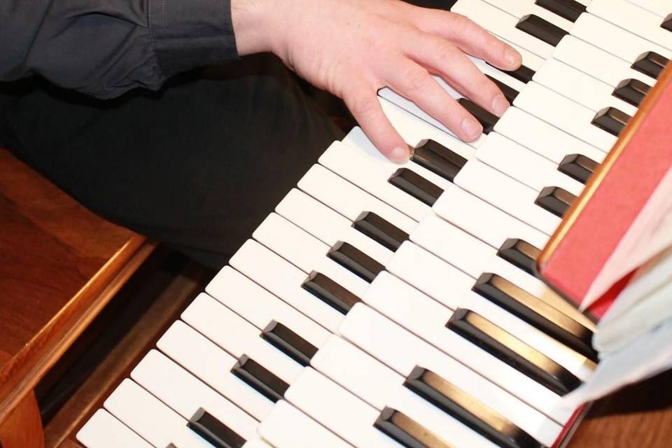 Stefano Franco Organista