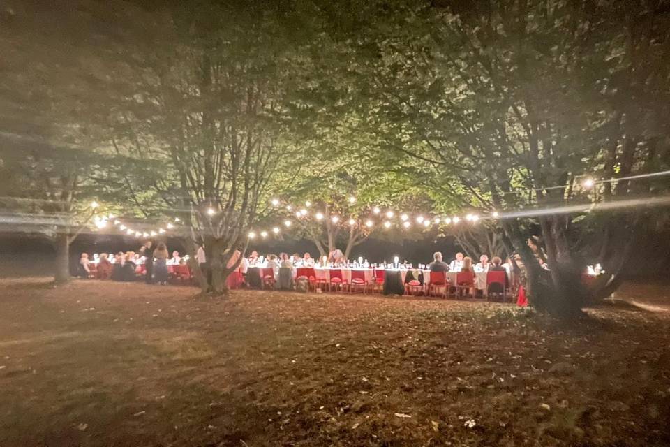 Le Filrouge di Silvia Fumei