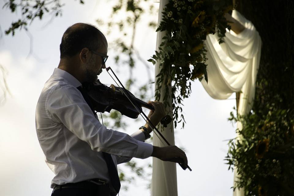 The Violin