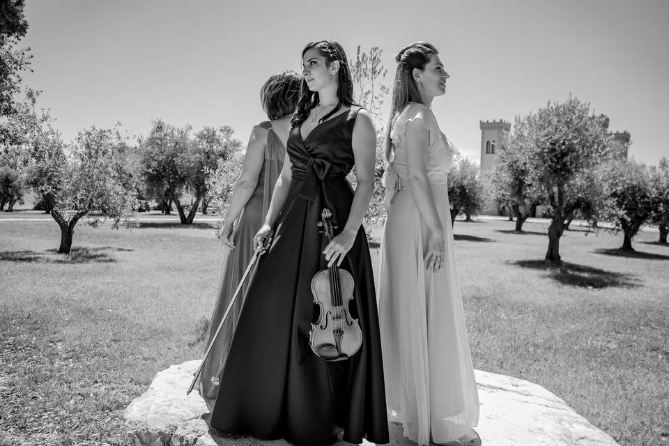 Tuscan melody trio