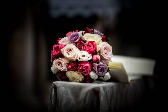 Damiano Brusegan Photography