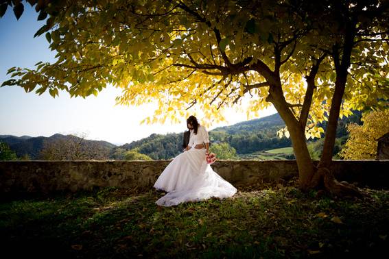 Damiano Brusegan Photography