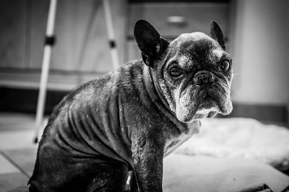 Damiano Brusegan Photography