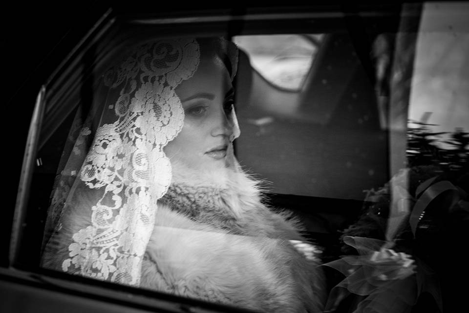 Damiano Brusegan Photography