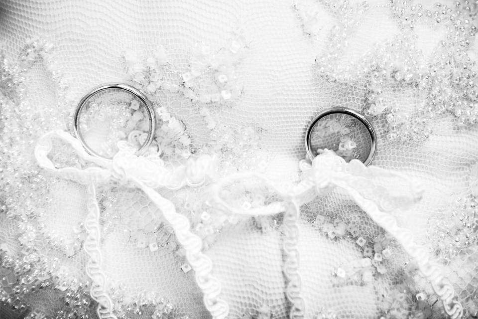 Damiano Brusegan Photography