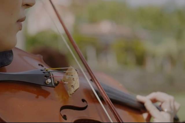 Musica nozze