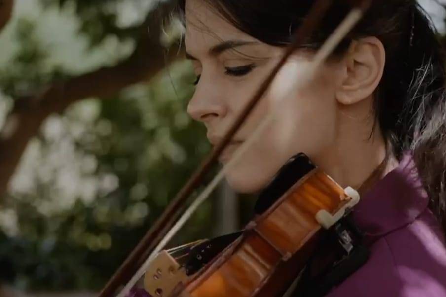 Violinista