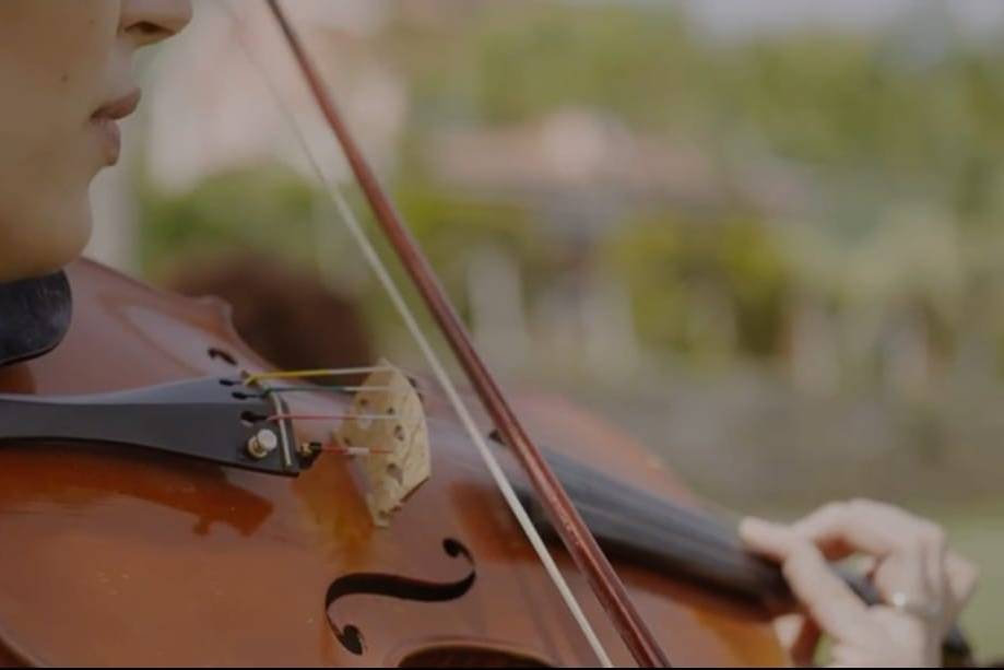 Musica nozze